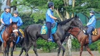 近親にアエロリットやミッキーアイル 国枝師も「いいモノを持っている」と話すガルダイア/関東馬メイクデビュー情報