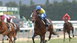 ディープインパクト没後5年 あなたが“怪物ぶり”感じたレースは？