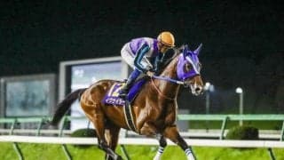 【大井・東京盃枠順】昨年のJBCスプリントを制したイグナイターは8枠13番