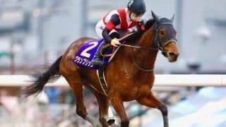 【大井・レディスプレリュード注目馬】中央馬は全て重賞ウイナー 7頭立てでもハイレベル