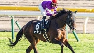 「列車名」と同じ馬名には2冠馬も！ 10月1日は新幹線60歳の誕生日