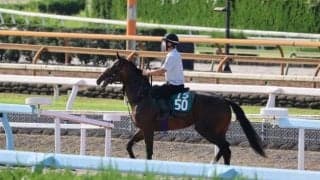 カルティカの2022(アークシャルダーム)など、先週のゲート試験/栗東トレセンニュース