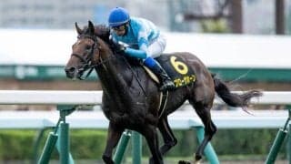 【京都大賞典予想オッズ】ブローザホーンが予想1番人気