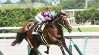 【京都大賞典展望】ジャパンCや天皇賞(秋)の前哨戦、1番人気は7連敗中