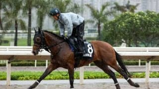 プログノーシス、ワープスピードのオーストラリア到着