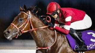 【大井・ジャパンダートクラシック注目馬】フォーエバーヤングら超豪華メンバー揃った ダート三冠最終戦