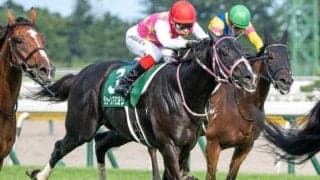 田口貫太騎手が京都大賞典でJRA重賞初制覇狙う 舞台巧者と初タッグで波乱呼ぶか