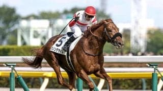 【菊花賞想定】ダノンデサイル、アーバンシックなど16頭