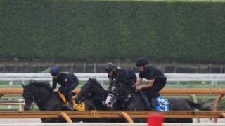 ハーパーなど、府中牝馬S1週前追い切り速報/栗東トレセンニュース