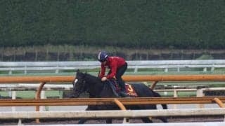 クイーンズウォーク、秋華賞1週前追い切り速報/栗東トレセンニュース