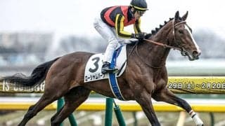 祖母に名牝エアグルーヴを持つ血統馬 毎日王冠で秋の大舞台に弾みをつける勝利なるか