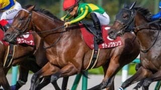 川田将雅騎手が4年ぶり京都大賞典Vへ 8戦連続タッグの重賞2勝馬と参戦