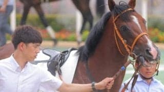 意外にもモーリス産駒で重賞未勝利 堀宜行厩舎が前走6馬身Vの1億円馬とサウジアラビアRCに挑む