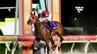 【JDC】フォーエバーヤングが圧勝…国内無敗を継続