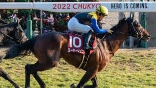 【毎日王冠予想】AIの推奨は新馬以来の1800m戦となる一頭 攻略のカギは臨戦過程とコース実績