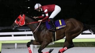 【ジャパンダートクラシック】フォーエバーヤングが世界トップレベルの走りで完勝　“瑠星コール”が鳴り響く