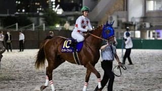 【JDC】戸崎「今後が楽しみ」ミッキーファイトは惜しくも2着