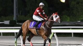 【JDC】売得金額は30億円超…フォーエバーヤングが快勝