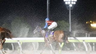 【JDC】吉原「気持ちよく走ってくれた」高知シンメデージーは5着