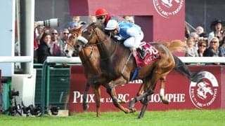 「勝ち馬が2頭いた」と称えられた馬も… 凱旋門賞で頂点をつかみかけた日本馬3頭