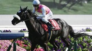 京都新聞杯覇者ジューンテイクに左前浅屈腱炎が判明 9か月以上の休養の見込み