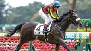 【サウジアラビアRC出走馬・騎手確定】アルレッキーノ＆C.ルメール騎手、フードマン＆松山弘平騎手など7頭