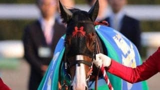 昨年マイルCS覇者ナミュールの半妹 C.ルメール騎手を背にきょうだい4頭目の初陣V狙う