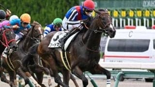 3か国マイルG1制覇の父を持つ血統馬 サウジアラビアRCを制し大舞台への第一歩とできるか