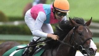 22年の最優秀2歳牡馬が初ダート挑戦 2度の転厩などを経て復活の糸口をつかめるか