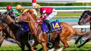 【仏・凱旋門賞枠順】日本のシンエンペラーは11番ゲート、武豊騎手騎乗のアルリファーは9番ゲート