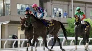 【東京盃】笹川「ファイトする感じがなかった」兵庫イグナイターは6着