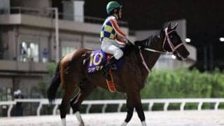 【東京盃】川須「次はリベンジしたい」シャマルはしぶとく3着