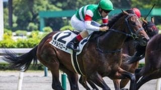 天皇賞(春)連覇の父に産駒初勝利を届けるか 祖母には名牝ブエナビスタの良血が2戦目迎える