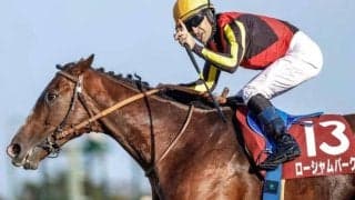 【毎日王冠枠順確定】ローシャムパークは6枠9番、シックスペンスは7枠11番