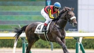 【サウジアラビアRC枠順確定】アルレッキーノは3枠3番、フードマンは7枠7番