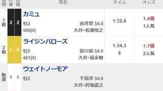 大井競馬3Rが「2頭立て」 で実施 当地では史上初の珍事
