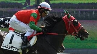 【サウジアラビアRC予想】そうそうたる馬が勝ち馬に名を連ねる出世レース！ 高期待値は前走新馬戦組