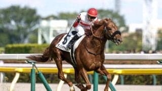 【菊花賞想定馬・騎手】ダノンデサイル、メイショウタバルなど19頭