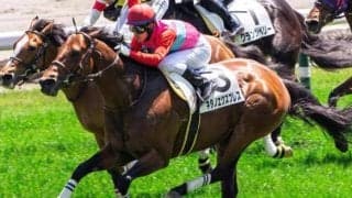 京都芝は高速決着 持ち時計上位のキタノエクスプレスが差し切る