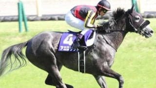 NHKマイルなど重賞3勝アエロリットの半弟 C.ルメール騎手を鞍上に姉に続く初陣Vへ