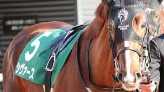 “ハマの大魔神”ゆかりの良血馬 tvk賞でキャリア初の2000m戦に挑戦