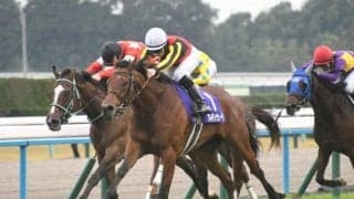 【府中牝馬S想定馬・騎手】ブレイディヴェーグ、ミッキーゴージャスなど
