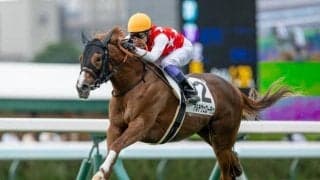 【サウジアラビアRC予想】出世レースとして名高い一戦 求められるのは“スピード”と“瞬発力”