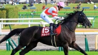 全姉はエリザベス女王杯覇者 アイサンサンがデビューVなるか