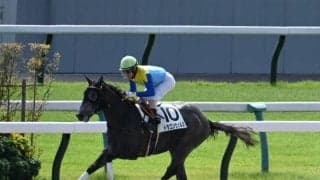 【京都4R新馬戦結果】フロステッド産駒のドラゴンウェルズが9馬身差圧勝
