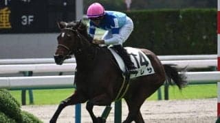 【京都5R新馬戦結果】アドマイヤマーズ産駒テレサが逃げ切り勝ち