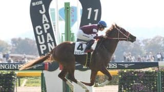 凱旋門賞の「過去20年の勝ち馬の血統」からわかる狙い目　日本馬シンエンペラーの相性は？