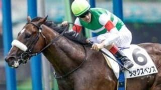 【毎日王冠予想】スーパーGIIで好走するには近況の勢いも重要!? 前走で大敗した馬に求められる好走条件とは