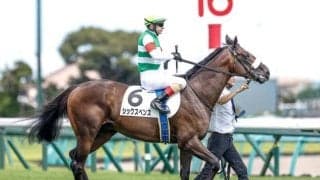 【毎日王冠前日オッズ】シックスペンスが3.6倍で1番人気