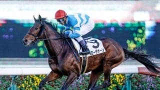 【京都大賞典前日オッズ】ブローザホーンが2.9倍で1番人気